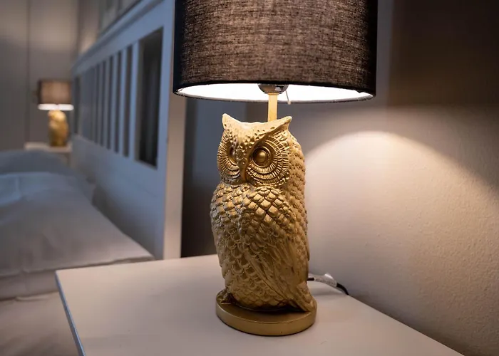 Canard Int 4 Daire *